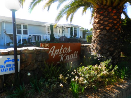 Aptos Knoll